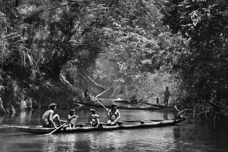 dia-do-meio-ambiente